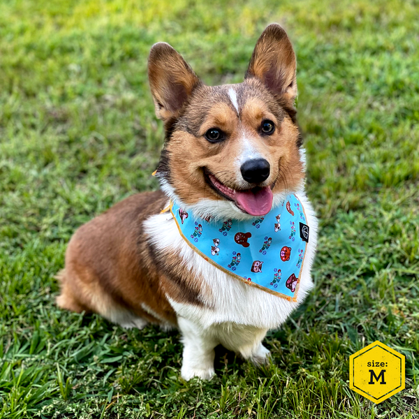 Critical Role Reversible Pet Bandana Set 2 Pack